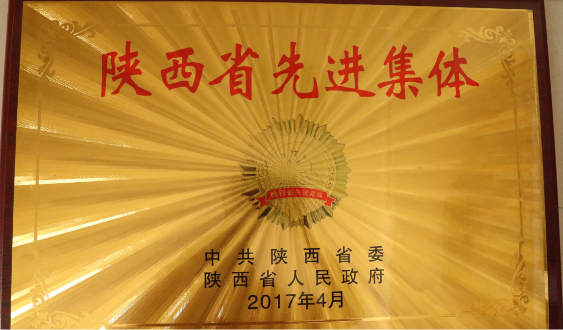 陕西有色榆林新材料集团阳极分公司“陕西省先进集体”