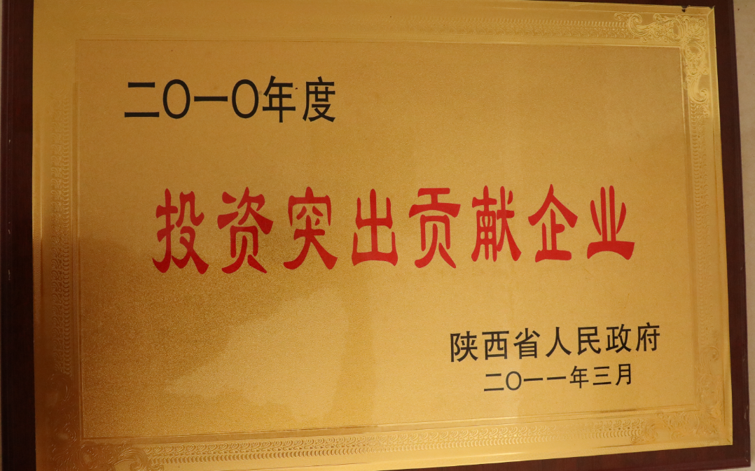 2010年度陕西省“投资突出贡献企业”