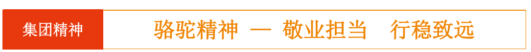 864122c5d2e02462c68a9053ee3580c.png