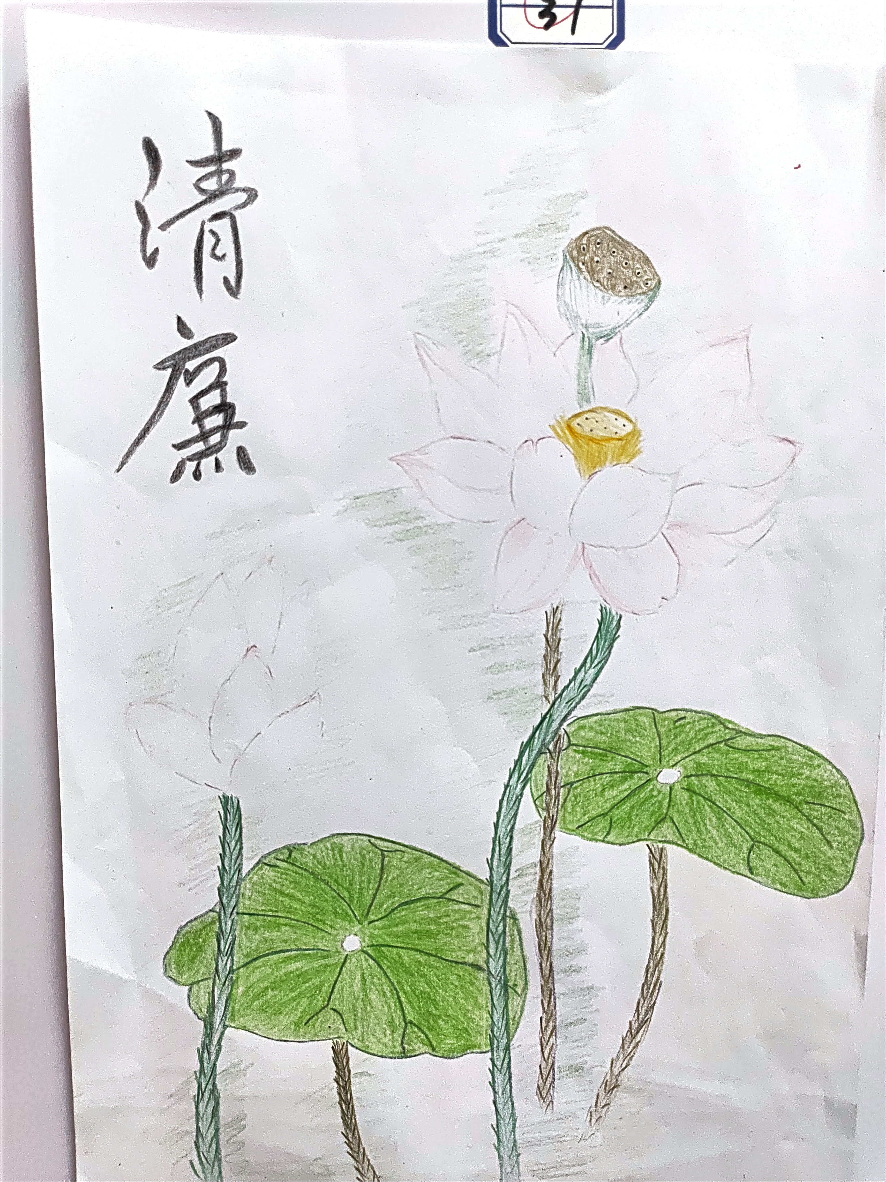 铁路运销公司 姬薇薇.jpg
