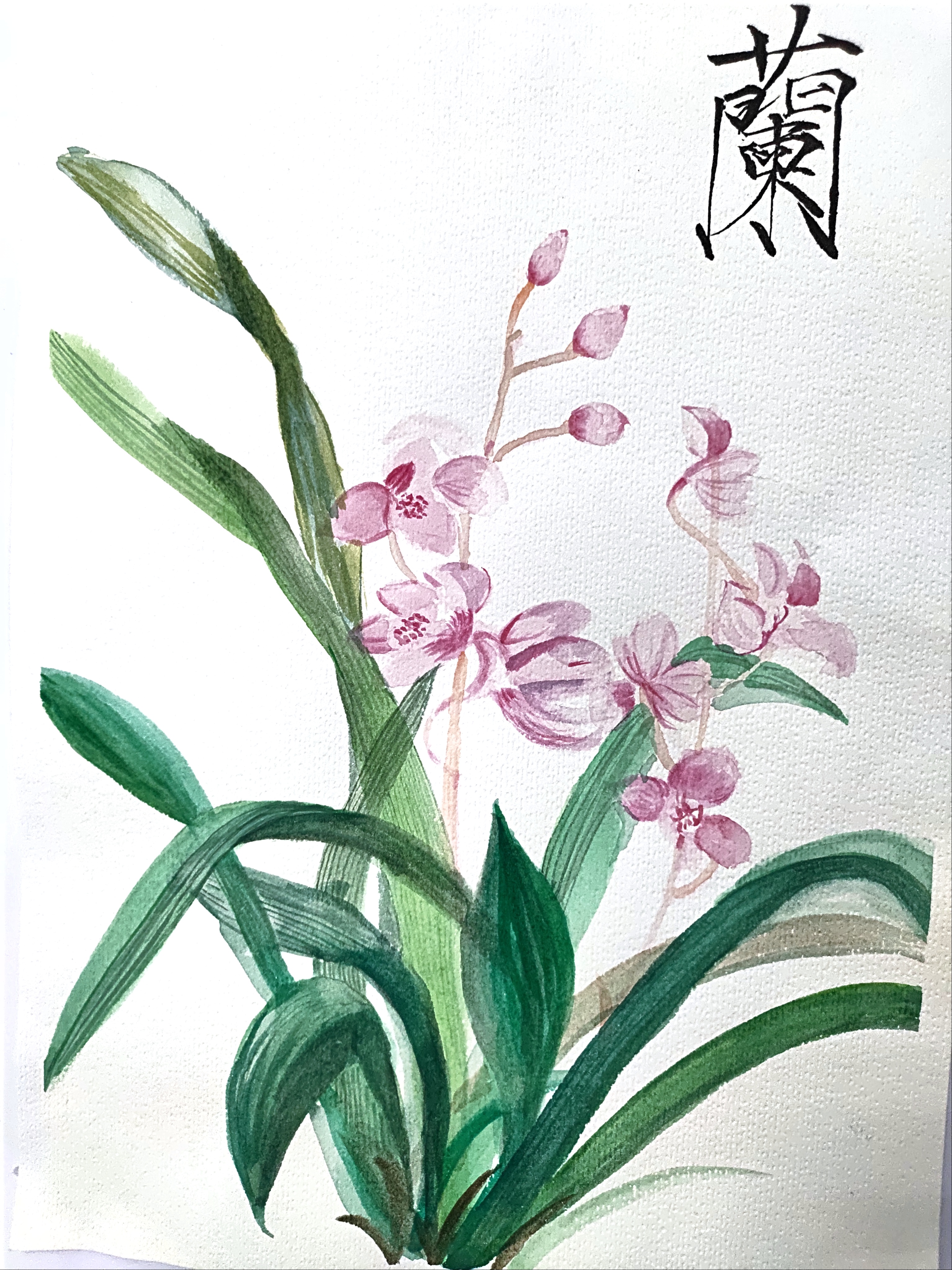 阳极分公司 王健.jpg